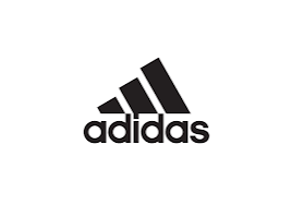 66a7860e48c151722254862.png